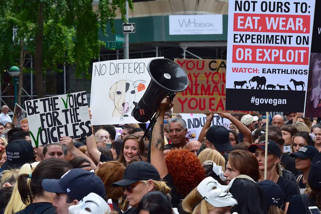 Vegan Outreach banner